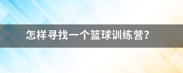 一个篮球训练营的组织结构
